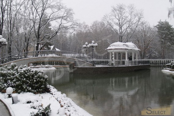 Photo of a winter view of an artificial reservoir in front of the villa. View of the island with a gazebo in winter