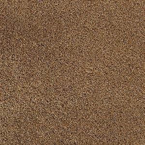 Sandgold