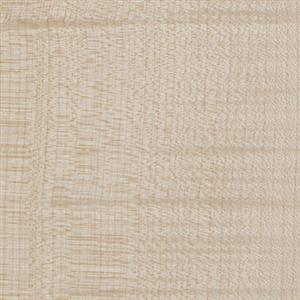 Natural Sycamore