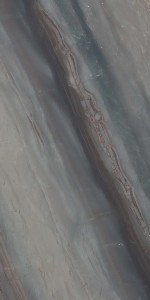 Elegant Brown