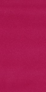 Lario 31