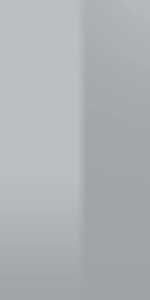 RAL 7004