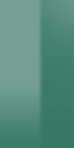 RAL 6000