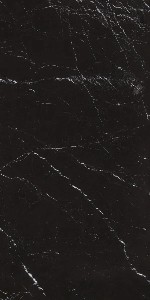 Elegant Black Polished Ceramic