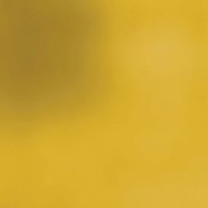 Personal universe-Halo