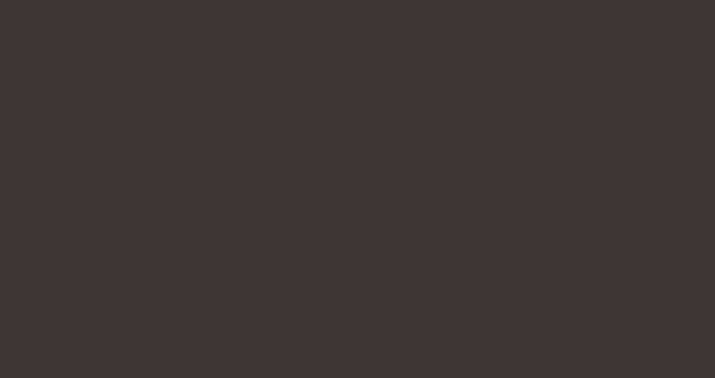 DARK BROWN RAL 8019