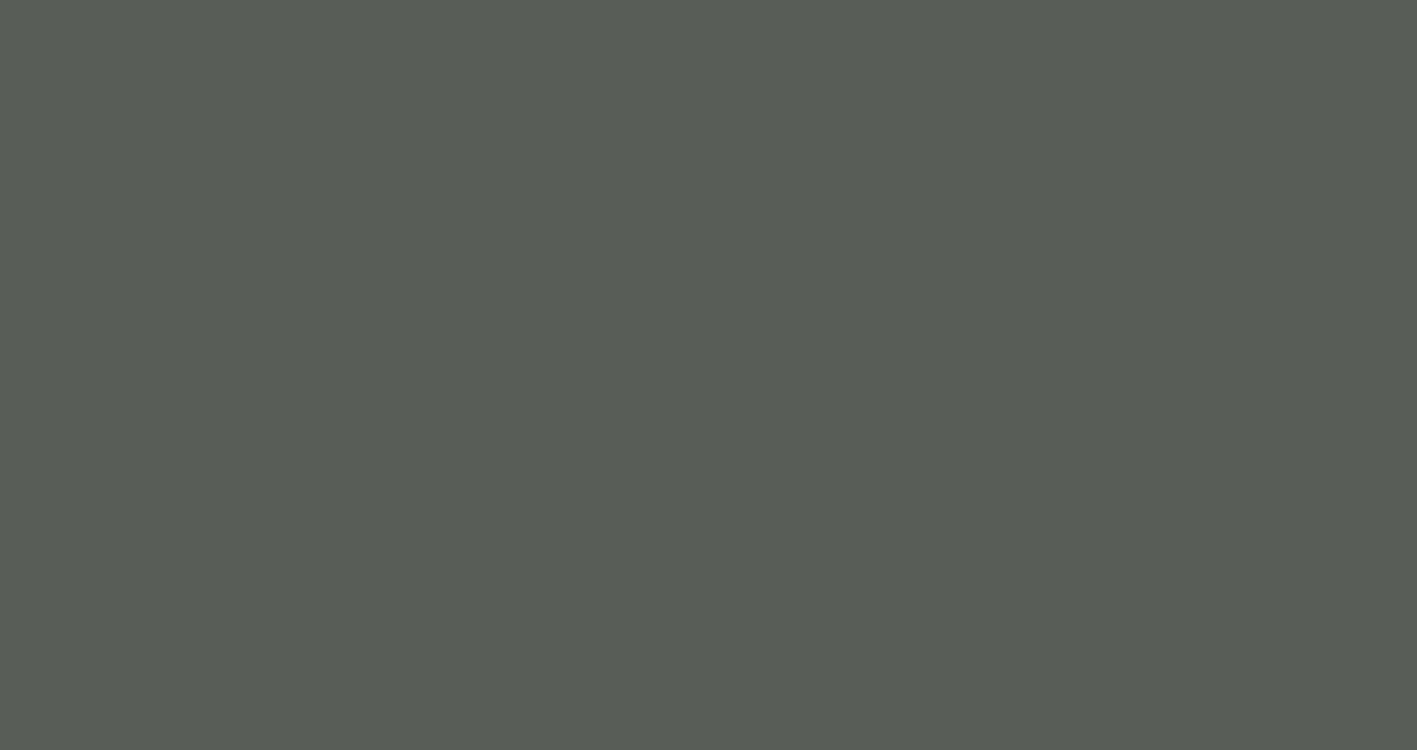 GREY RAL 7010