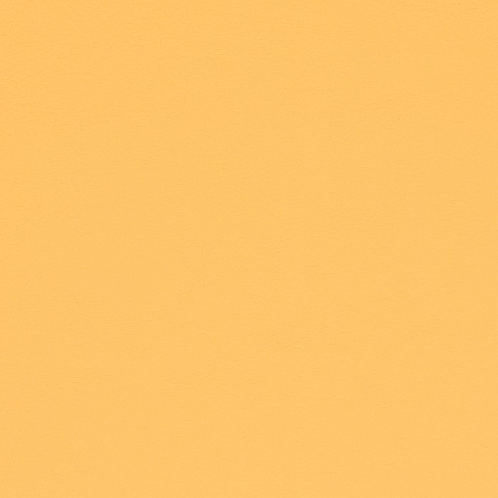 1007