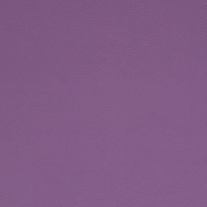 1010