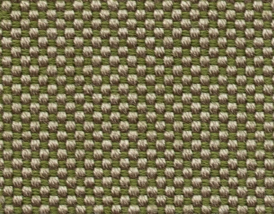 ALGA 3667