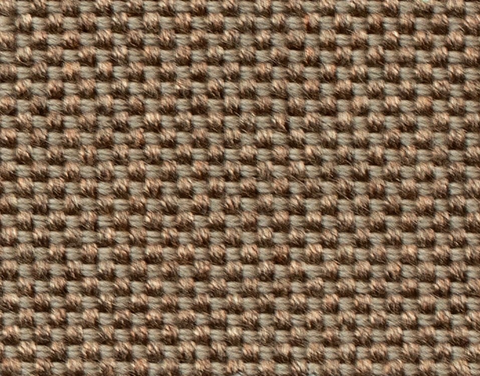 COCO 8001