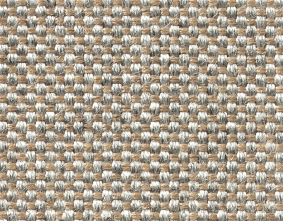 FOSSIL 3659