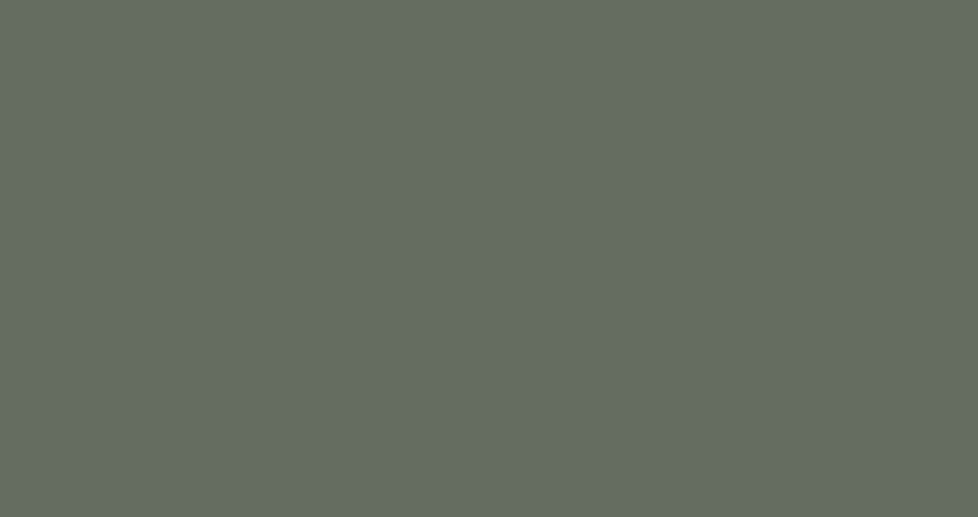 Sage Green SX360I