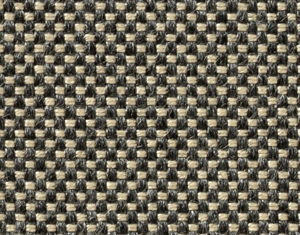 SIENA 8009
