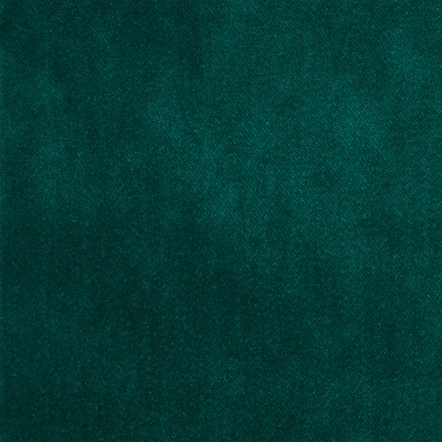 019