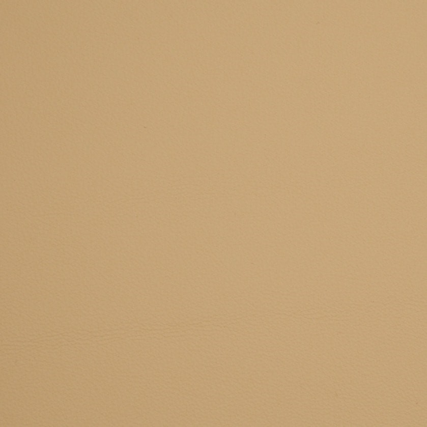 2194