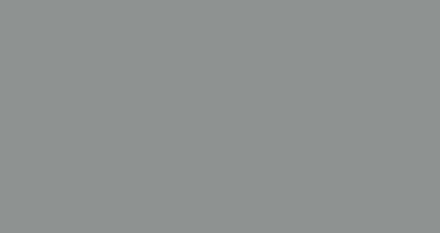 TRAFFIC GREY A 7042