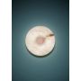 Alabastro Italiano / Wall Lights / Tsuki