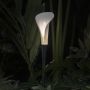Contardi / Outdoor LED Lights / Bloom Tiny & Long