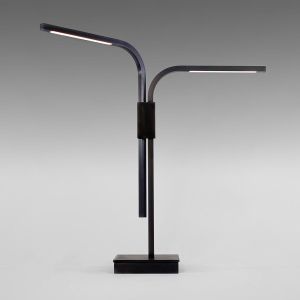 Boyd Lighting / Table Lamps / Branch LED 10721