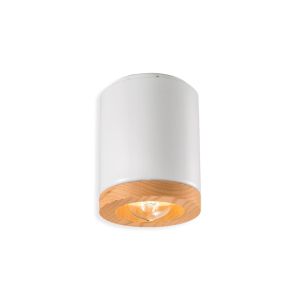 Ferroluce / Flush Mounts / C989