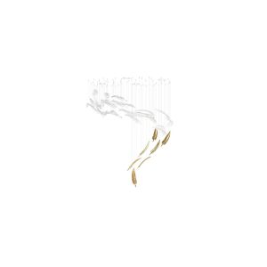 Sans Souci / Chandeliers / Airy S1