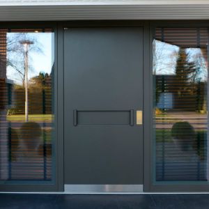 ComTür / Modern Front Doors / Color