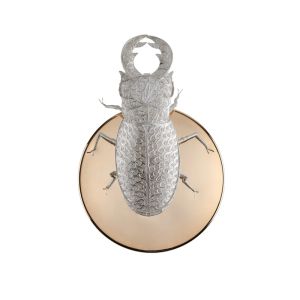 Boca do Lobo / Wall Lights / Filigree Lucanus