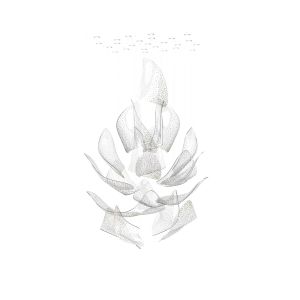 Sans Souci / Chandeliers / Flux Celestial M1