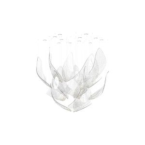 Sans Souci / Chandeliers / Flux Celestial S1