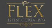 Flex-Porte-logo