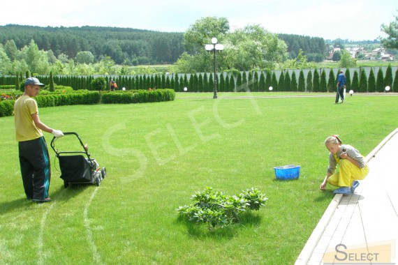 Photo work on planting plants nursery garden and ornamental plants - Weber Baumschule
