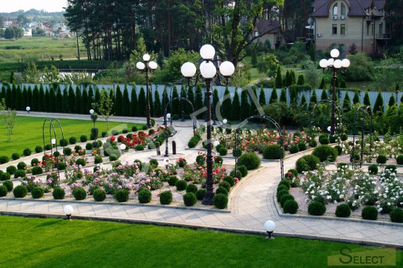photos of the Landscape of a villa in the Moscow region avenue of flowers